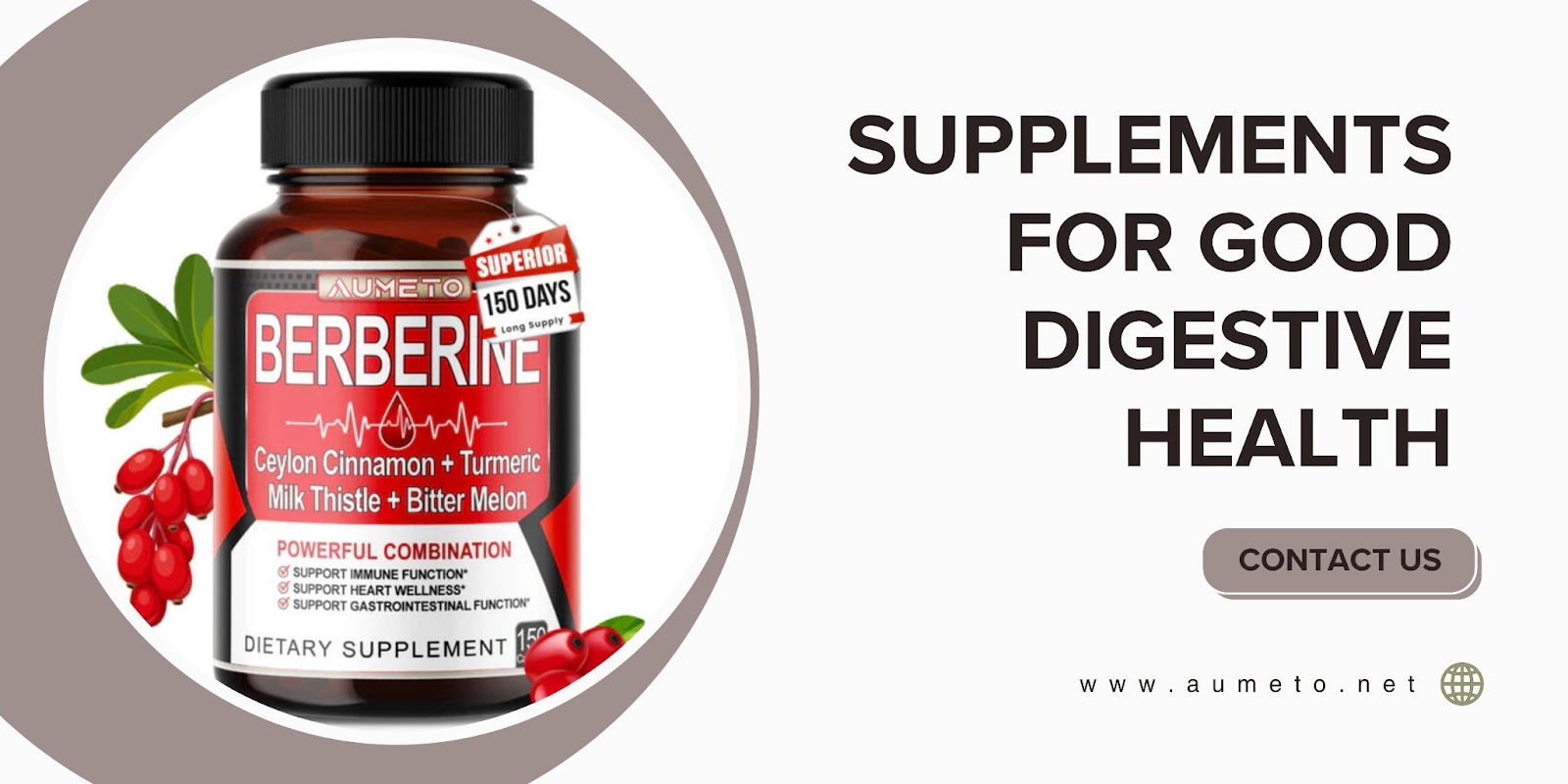Supplements for digestive health with probiotics and fiber